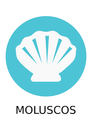 Moluscos